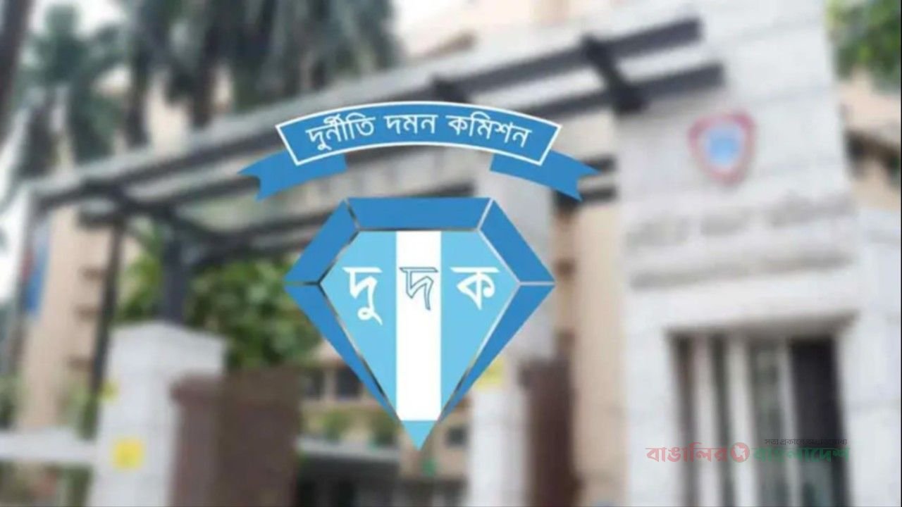 ২৪.৯৬ শতক সরকারি জমি আত্মসাৎ : ৮ জনের বিরুদ্ধে মামলা