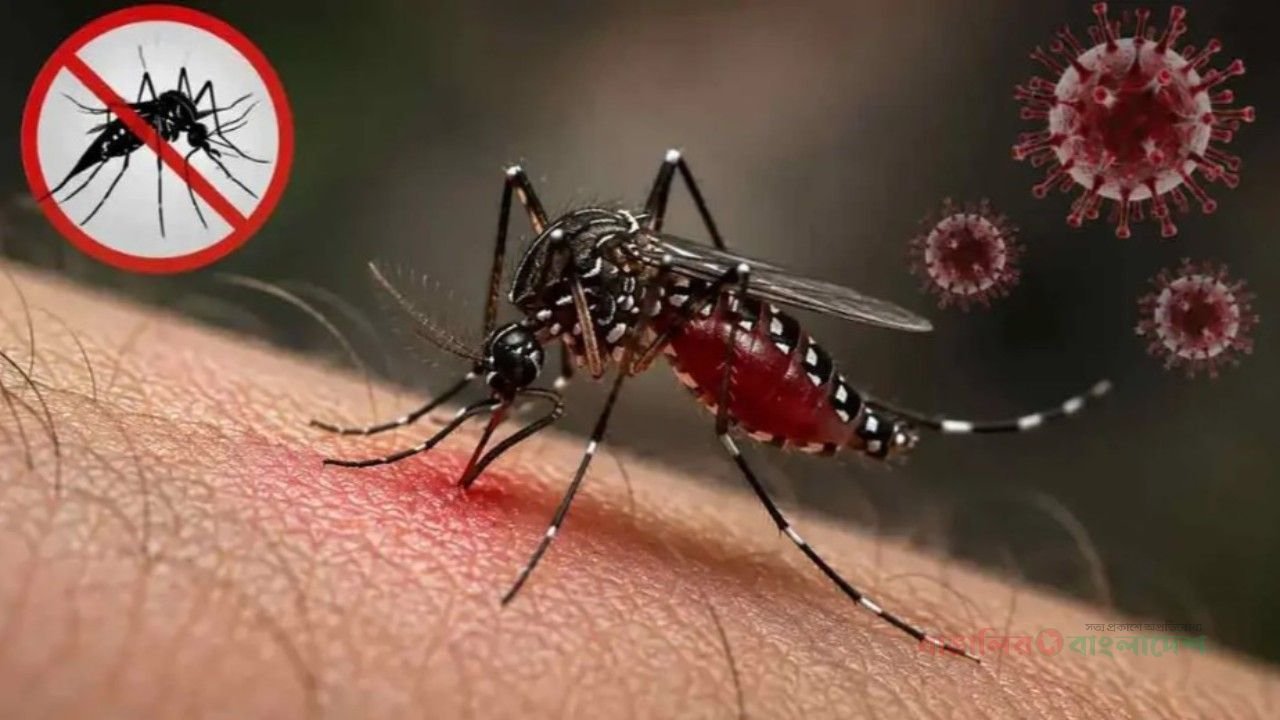 ডেঙ্গুতে ৬ জনের মৃত্যু, হাসপাতালে ভর্তি ২০৮৯