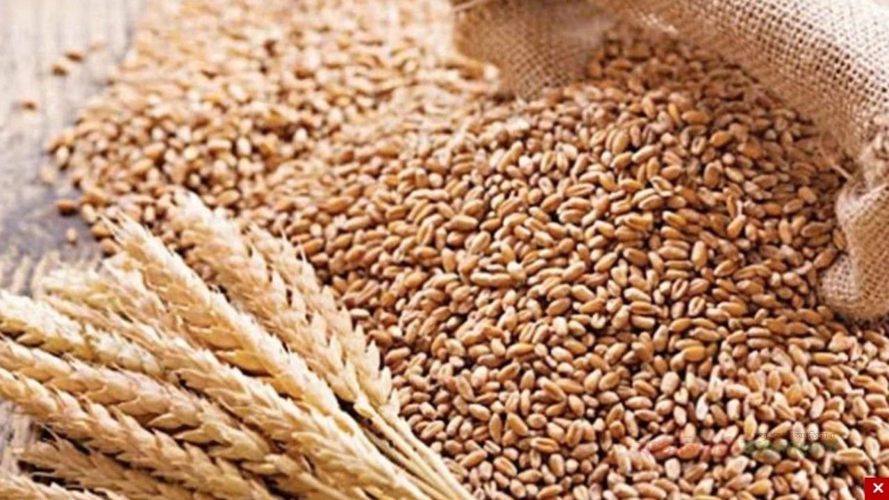 যুক্তরাষ্ট্র থেকে এলো ১ লাখ ৭৫ হাজার টন গম