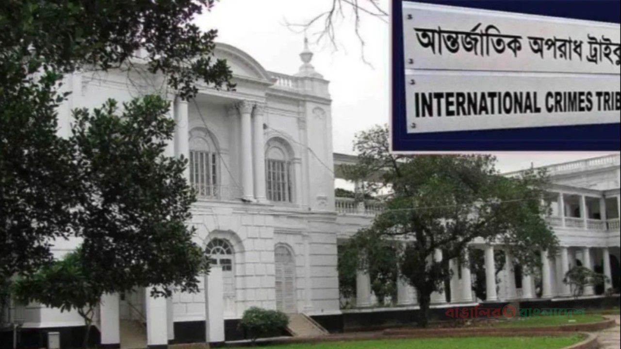 ট্রাইব্যুনালে হাজির হয়ে নিঃশর্ত ক্ষমা চাইলেন আওয়ামীপন্থি ২ আইনজীবী